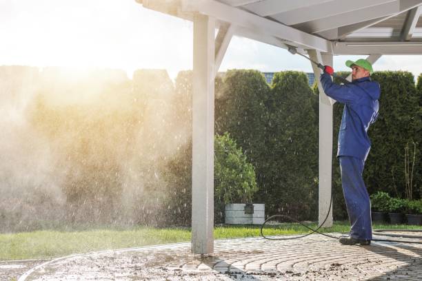 Professional Pressure Washing Services in Central Gardens, TX